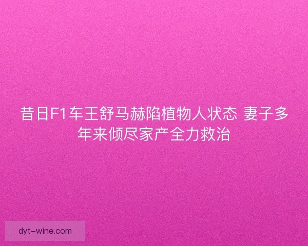 昔日F1车王舒马赫陷植物人状态 妻子多年来倾尽家产全力救治